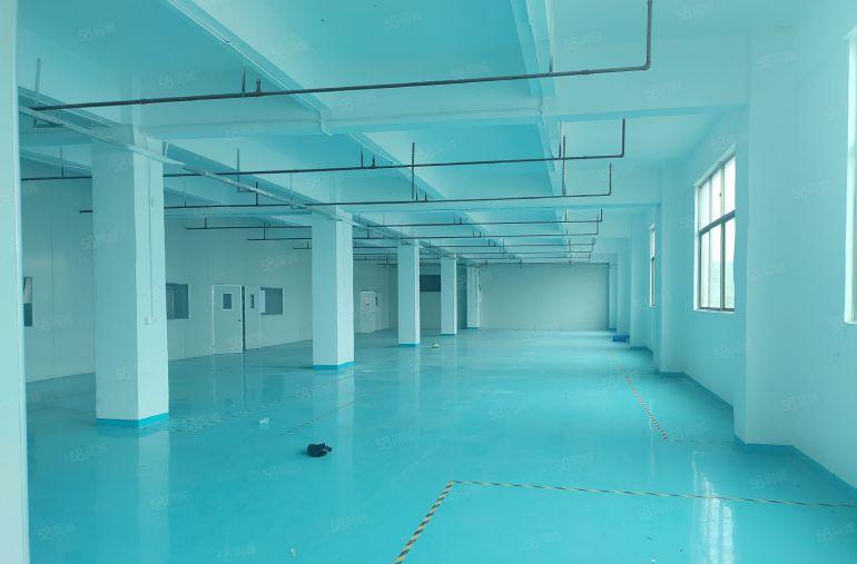 惠阳秋长白石靠新塘原房东3层经典小独院低价出租