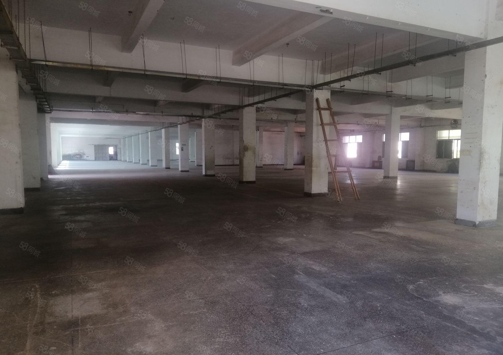 惠阳区三和经济开发区独门独院标准厂房13800平方空地6千平