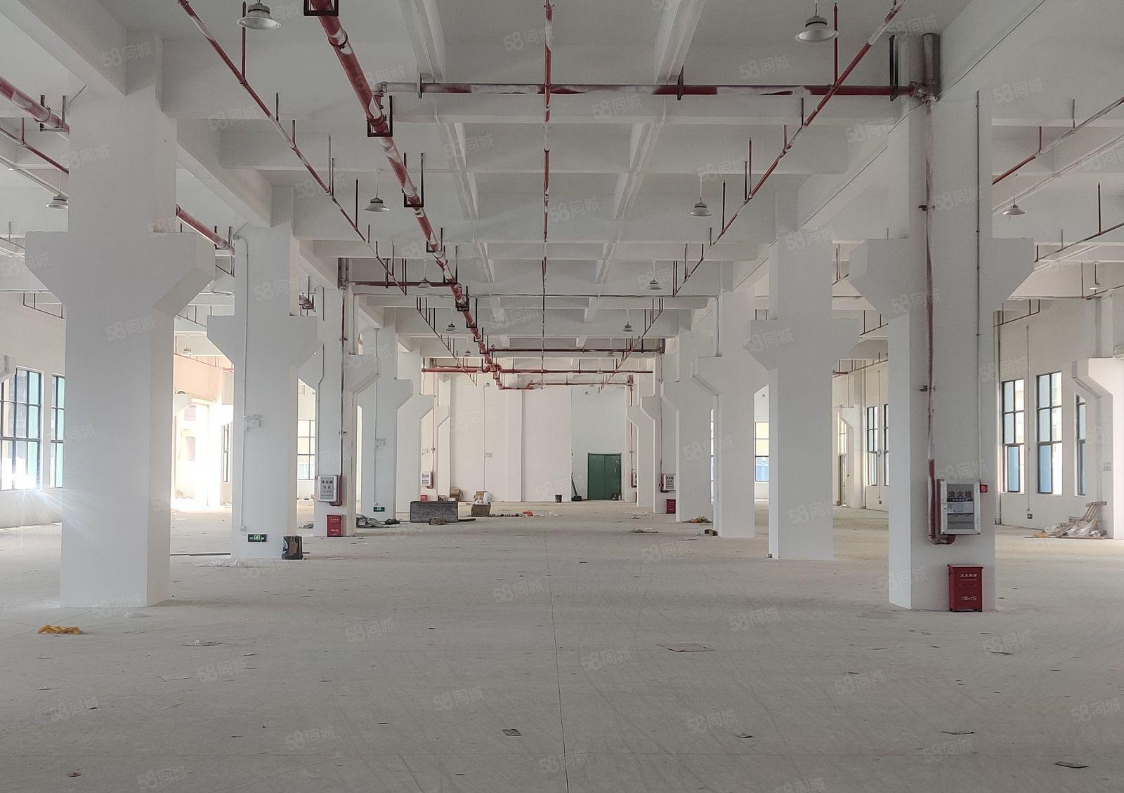 10元300平起惠州镇隆原房东5800平厂可以分租价格可以谈