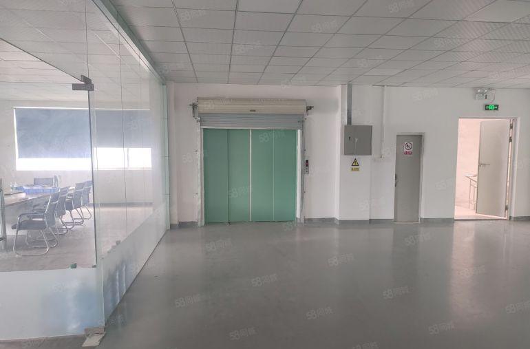 600平起租！10元精装修2楼淡水秋长大亚湾原房东红本厂房