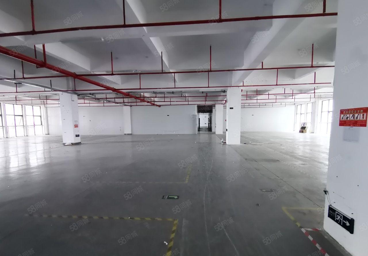 惠阳秋长花园式红本工业园1楼现成水电精装修厂房1000平起分