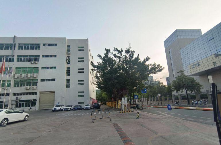 特价新圩原房东一楼厂房出租适合电子注塑五金机械设备塑料仓库等