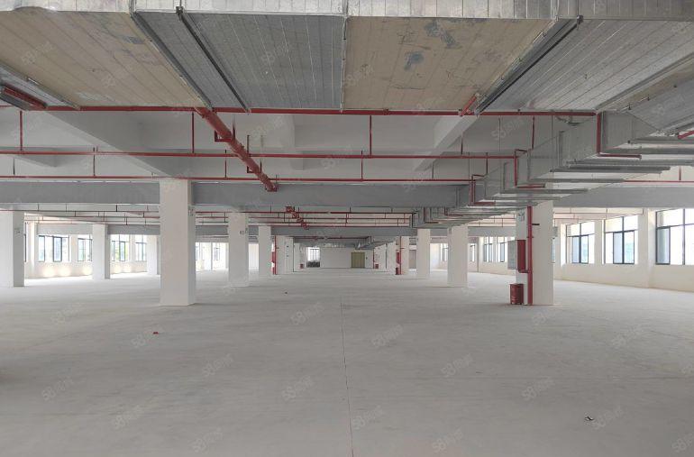 12元300平起分跟深圳一河之隔的国有红本厂房20000平