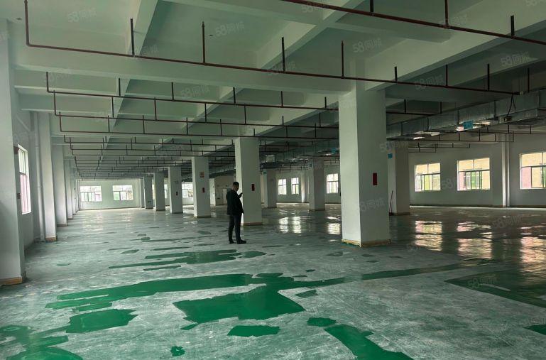 惠阳秋长红色干线旁边新出原房东标准一楼厂房仓库低价出租可分租