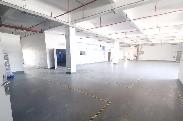 3个月免租期租金8元镇隆工业园楼上3500平850起分租