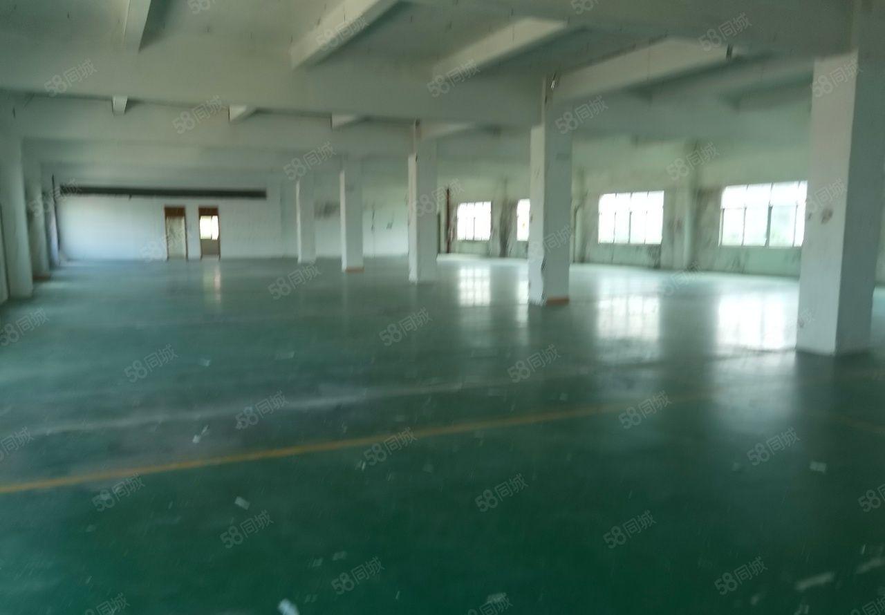 惠阳镇隆原房东5600平方独门独院厂房证件齐全，可办环评，