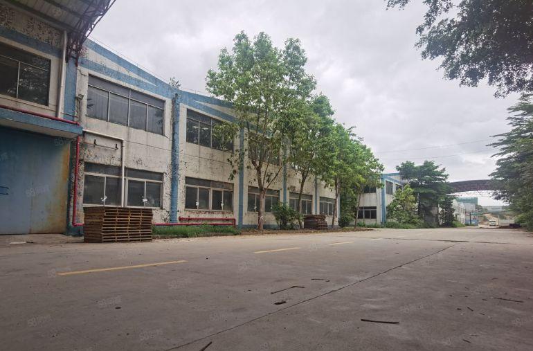 带红本  钢构厂房13000平方一栋总面积5万平大小面积分租