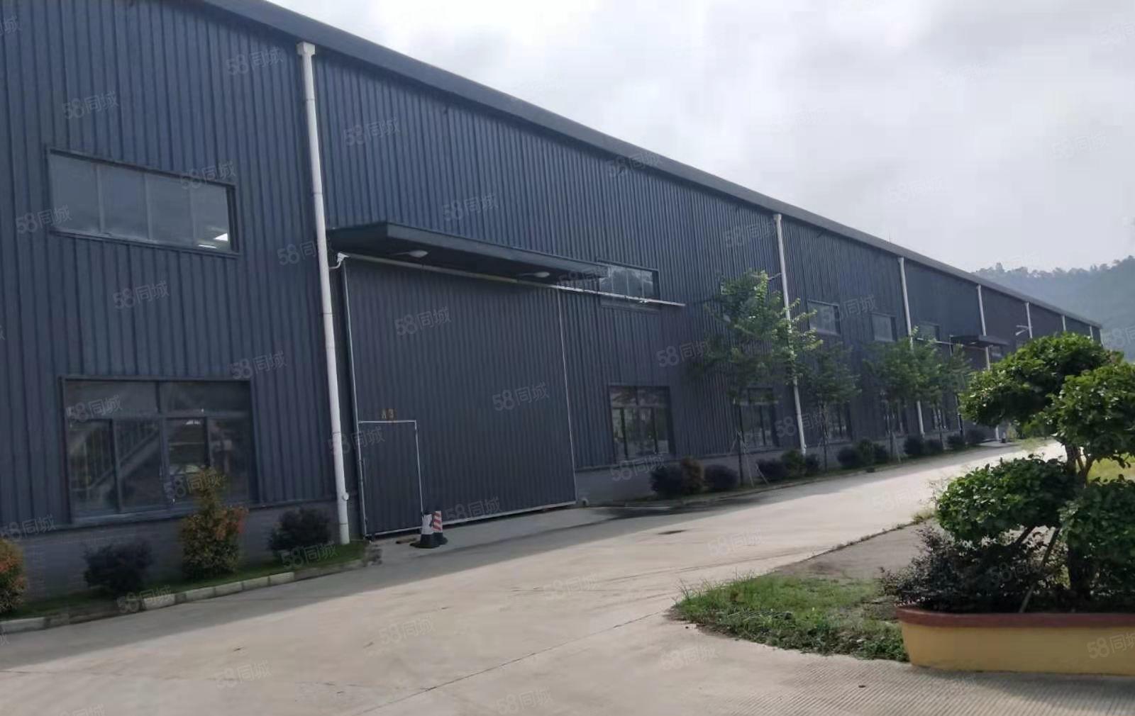 镇隆原房东钢构12000平方，滴水10米业主直租