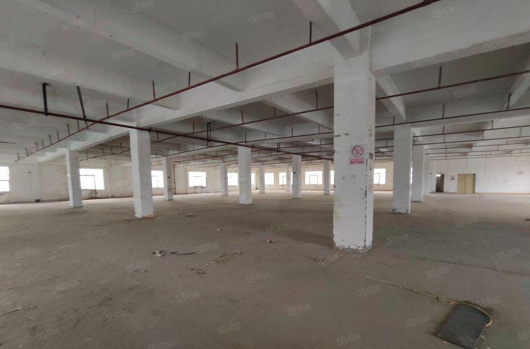 惠阳秋长将军路口旁原房东标准和钢构厂房