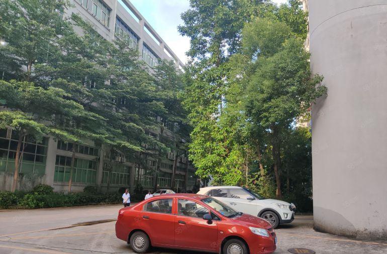 惠阳秋长白石新建标准厂房3000平出租带消防喷淋牛角层高7米