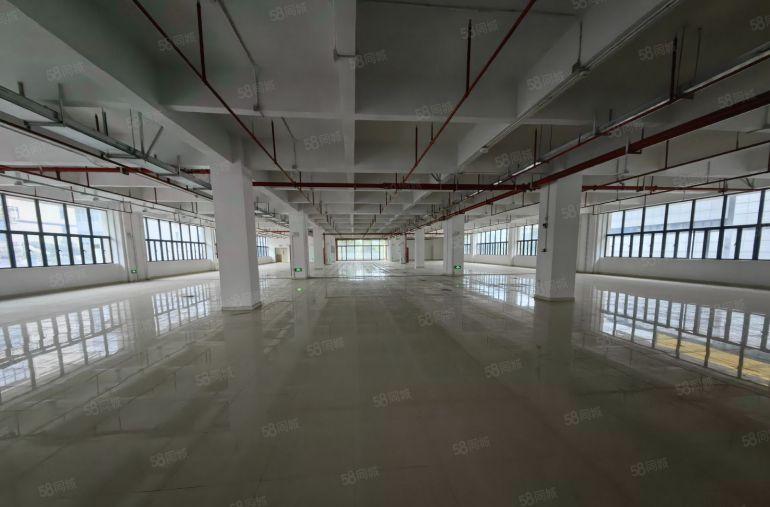 惠阳秋长8000平标准厂房出租大工业园区实际面积红本原房东