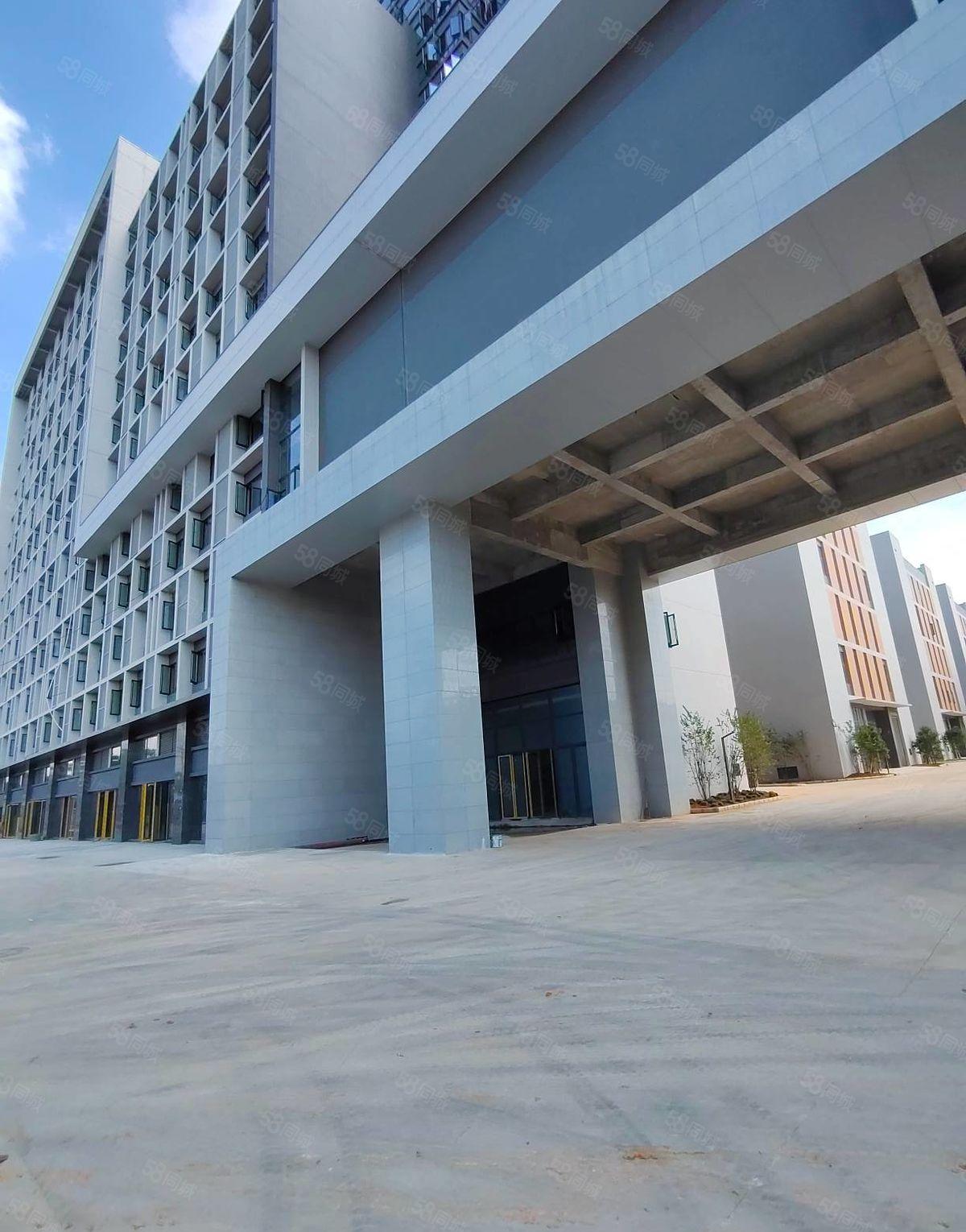 石湾科技园全新装修厂房，红本双证，1000平分租，可办环评