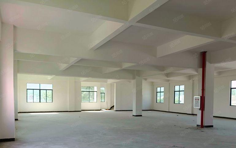 惠阳淡水精美独栋厂房950平方200平方起租