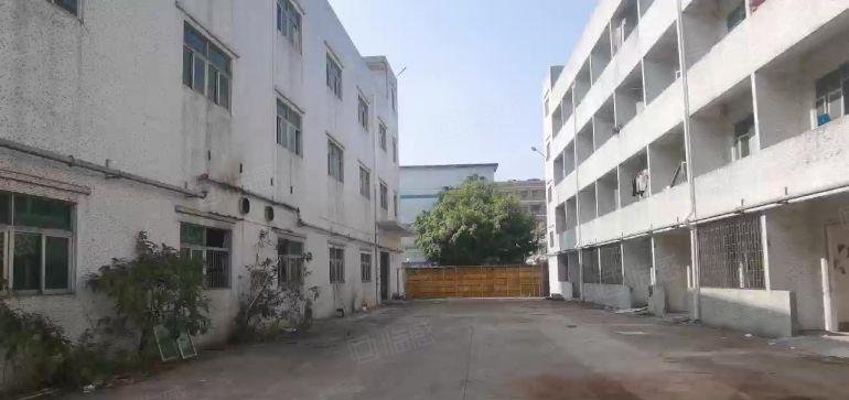 长深高速口新圩独栋厂房4680平米空地大可办环评免租3个月