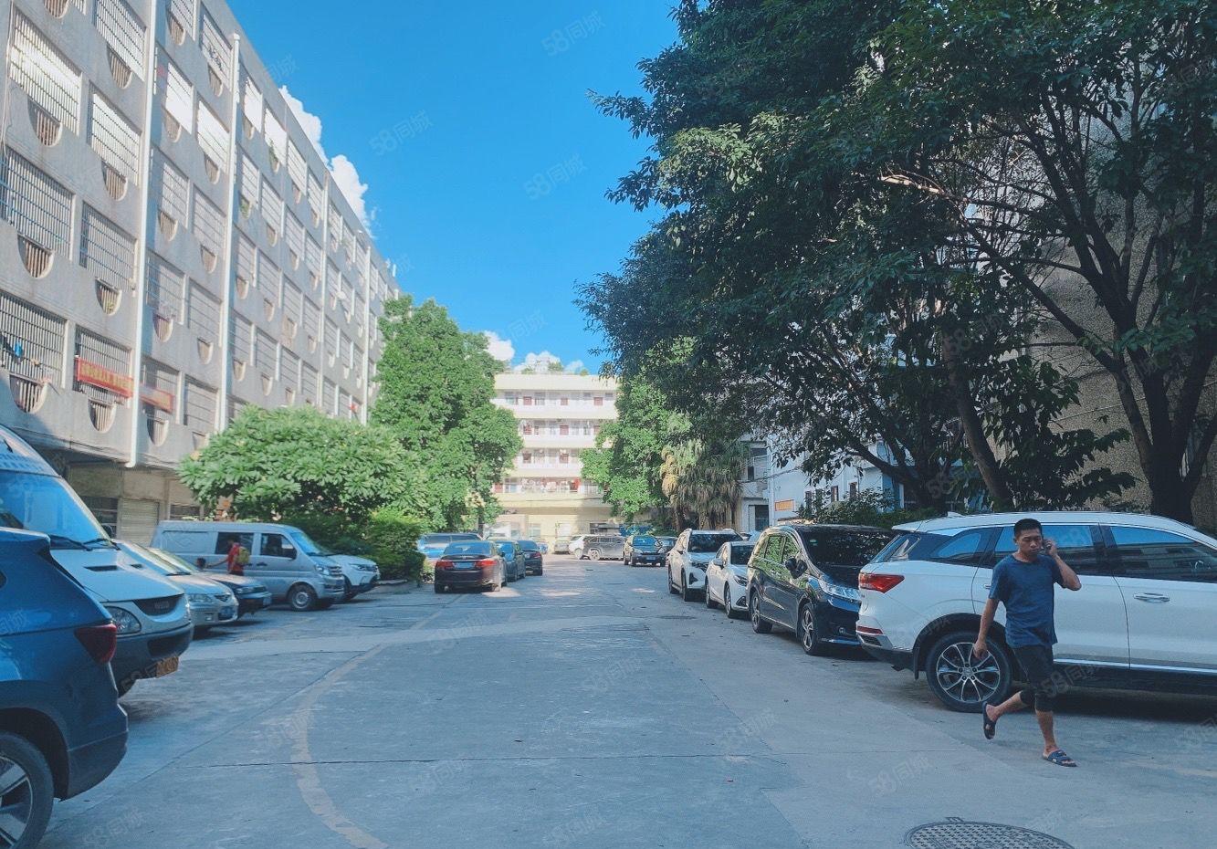 惠阳新圩原房东标准仓库厂房出租1000平高6米200起租可分