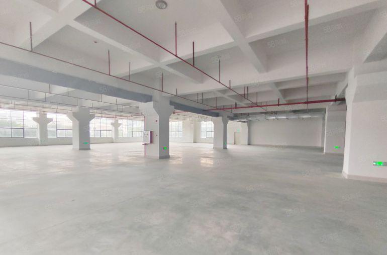 9块！新墟塘吓工业区3000平厂房仓库出租一楼带装修可分租