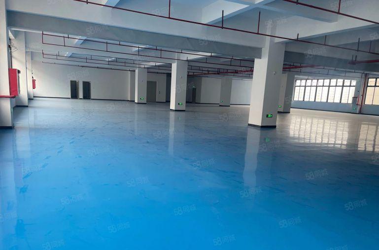 镇隆原房东楼上单层面积2000平现成装修厂房低价出租