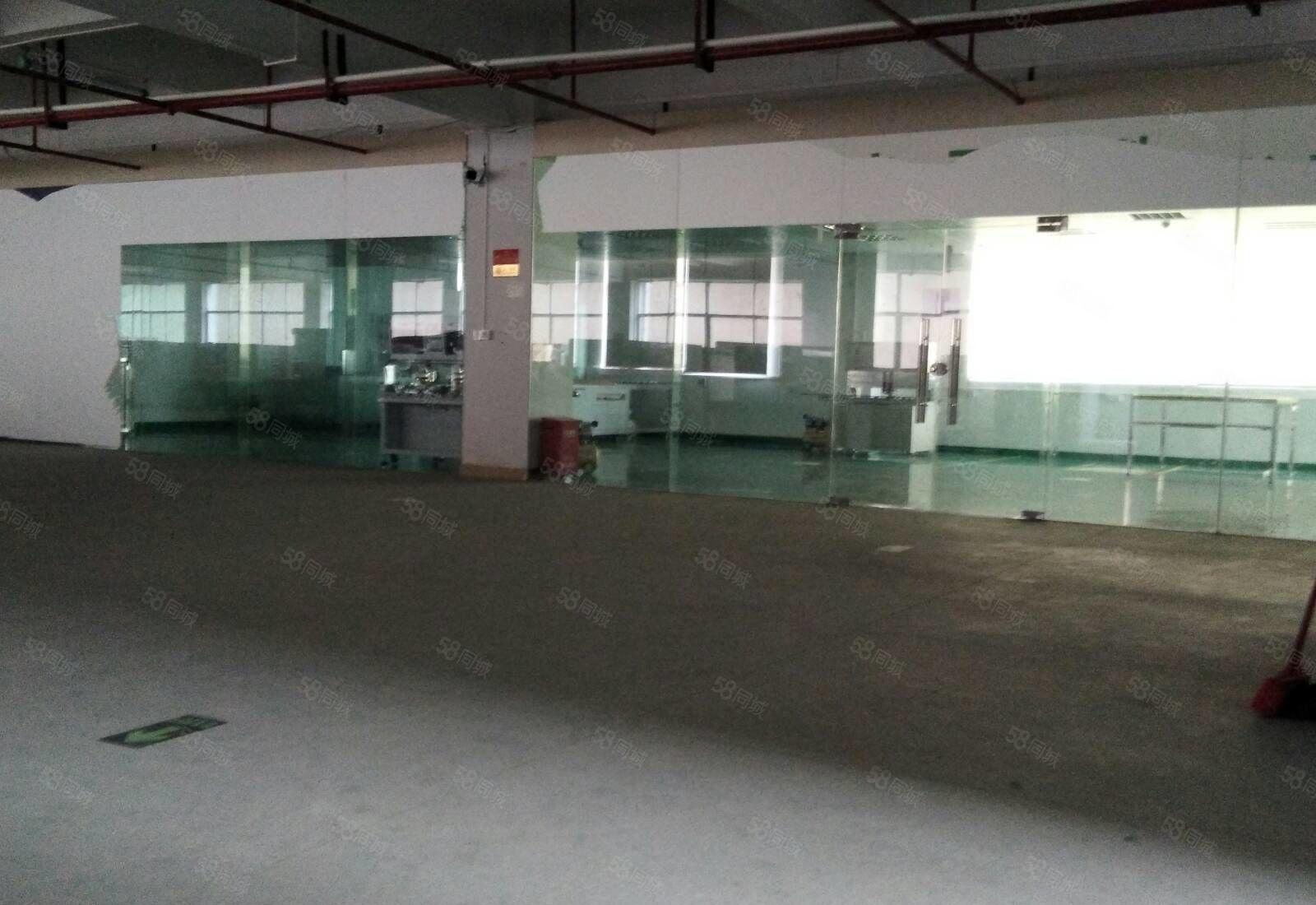 惠阳镇隆甘陂村工业园二楼1928平米带装修的标准厂房出租