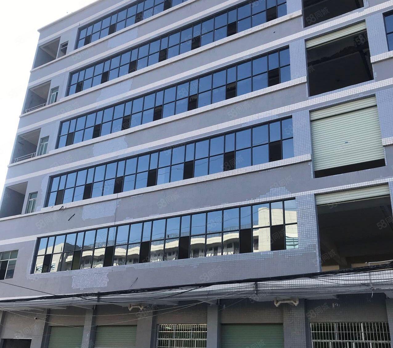 镇隆镇万里工业区新出小面积稀有厂房