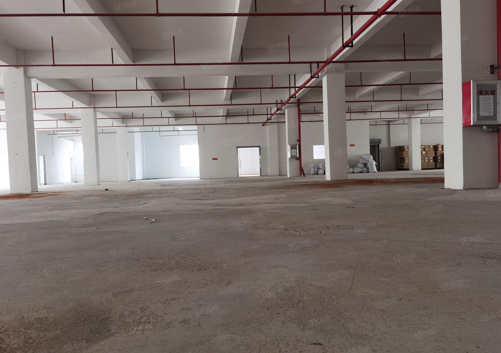 惠州惠阳新圩镇南坑成熟工业园区标准厂房火热招商