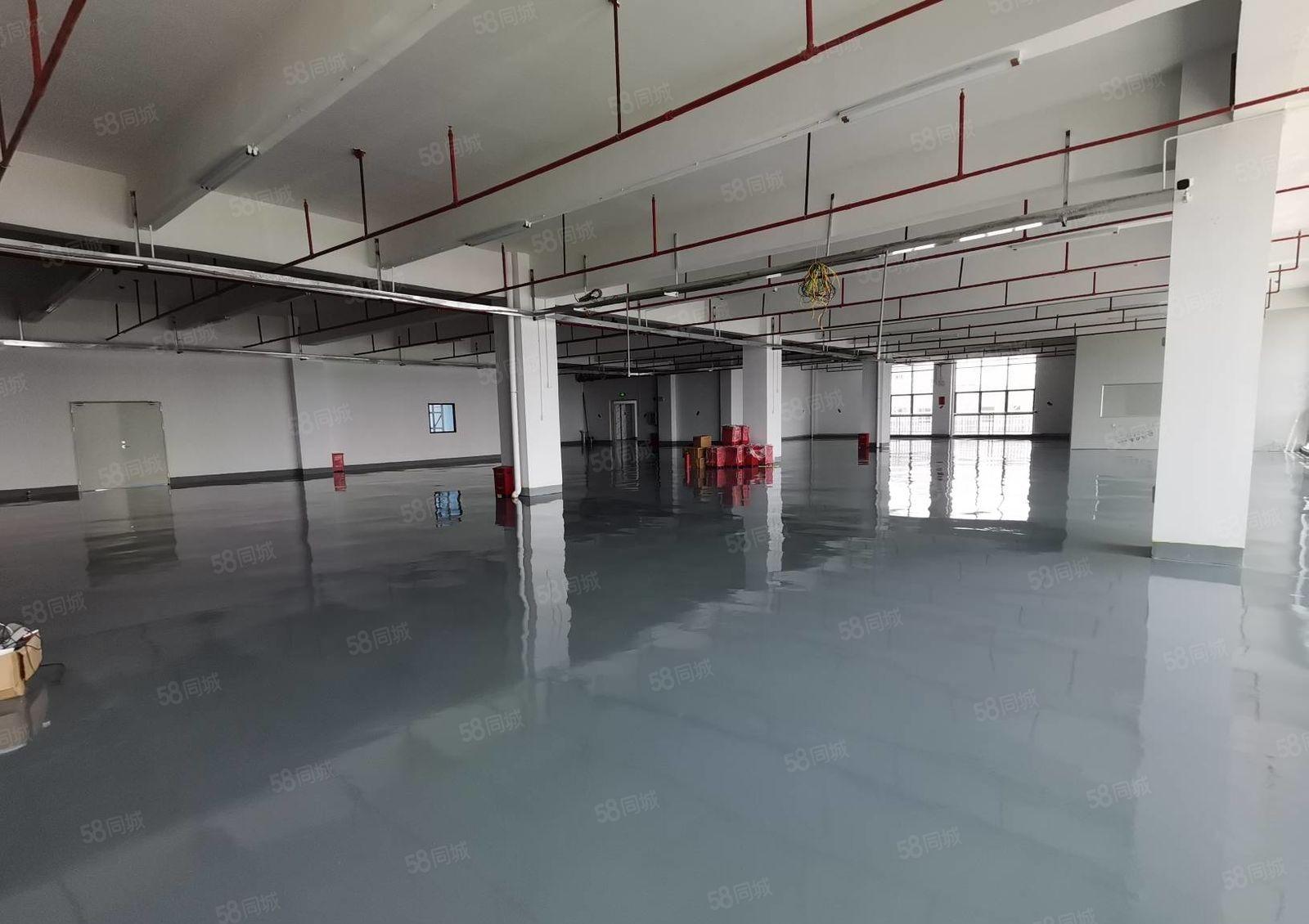 惠阳镇隆万里工业园原房东7万平带装修厂房出租可分租一楼6米高