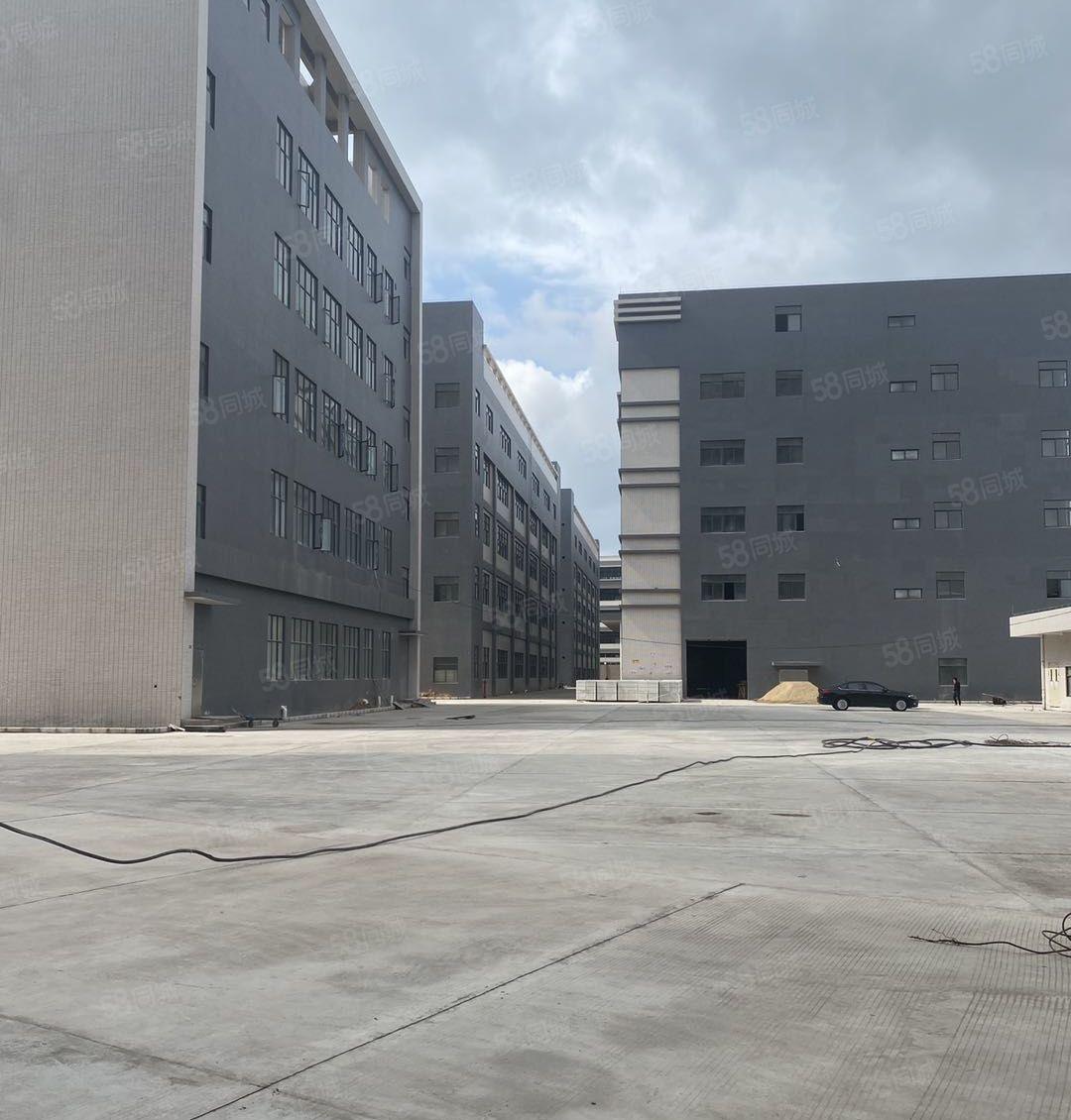 惠阳将军路口原房东红本新建厂房48000平米可分租