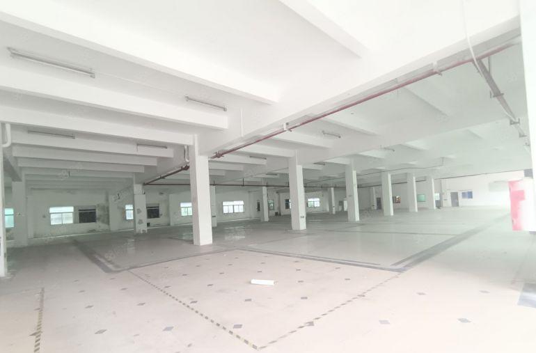 镇隆原房东红本厂房实际面积出租花园式独院厂房15000平方