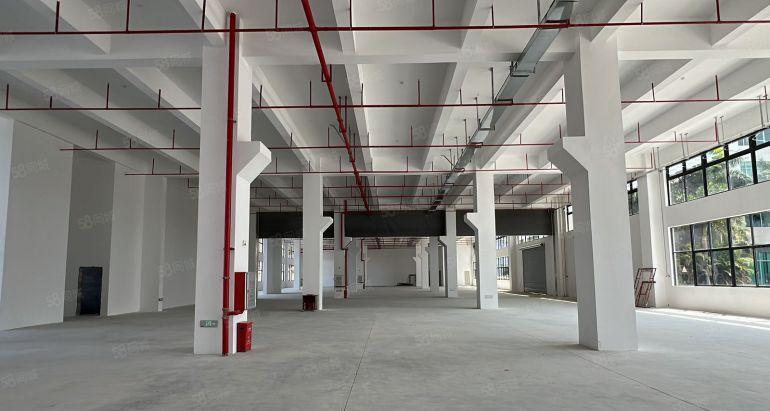 秋长主干道边上新出一楼3000平带牛脚高度8米厂房特价出租