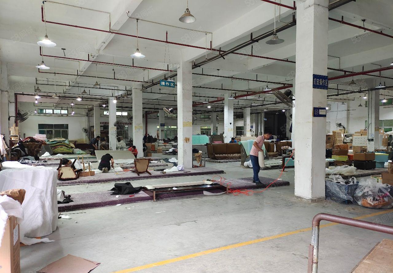 秋长便宜厂房！白石标准厂房带钢构3600平实际面积出租