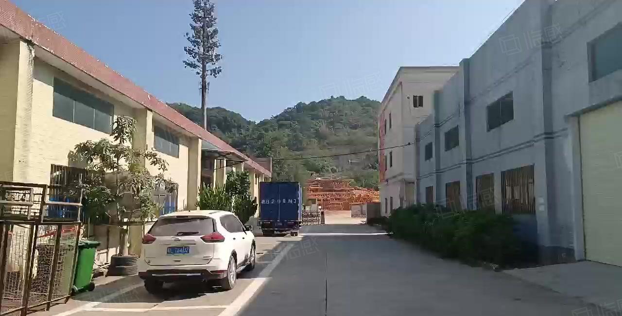 （周边无居民不限行业）镇隆205国道边新出独院钢构8750平