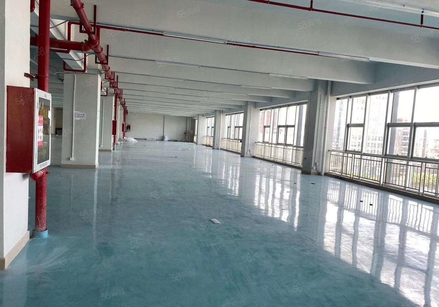 (原房东)秋长镇茶园玻璃幕墙科技园每层2100平可分租