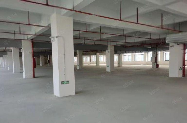 惠州镇隆9元。原房东2000平方厂房仓库低价出租大小可分