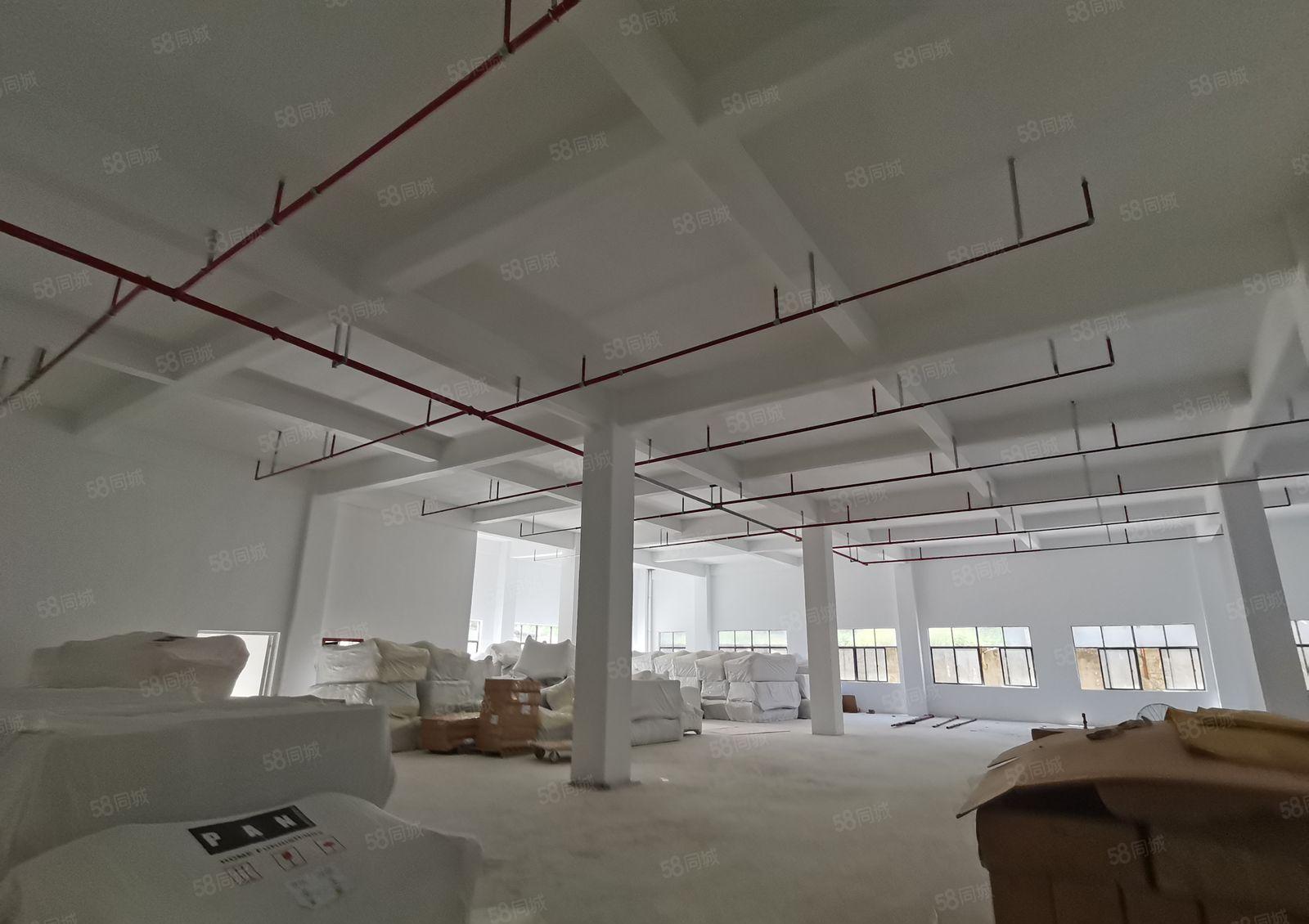 一楼800至2000平厂房，沙田独门独院厂房出租  可办环评