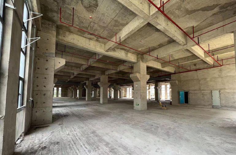 临深全新装修 楼上6米高 1T重 开发商直租 无二手差价