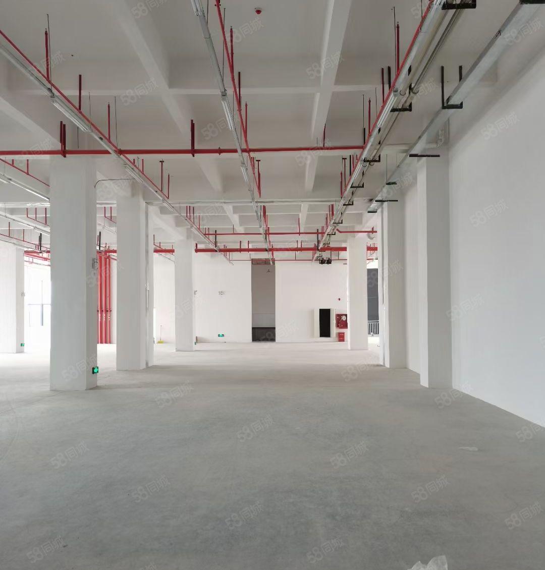 （证件齐全）惠阳镇隆万里工业区全新红本标准厂房出租