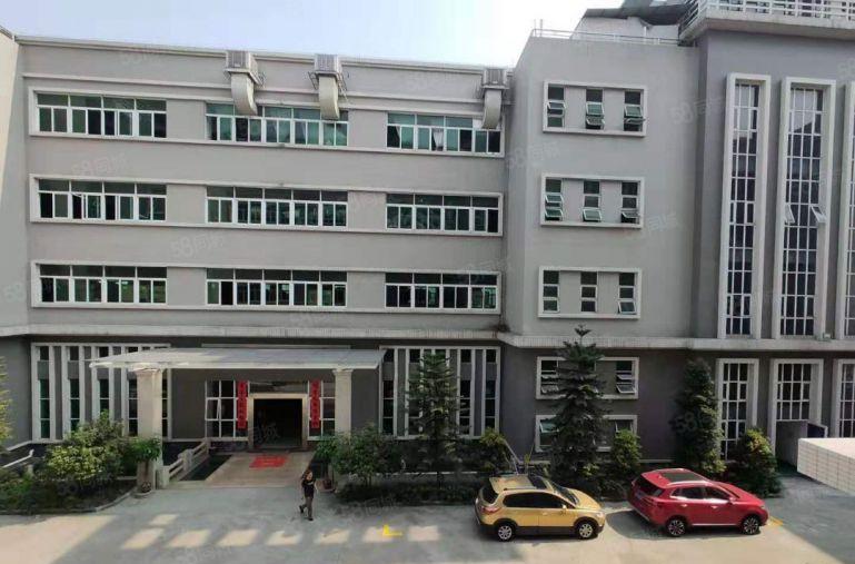 赠！免租期 新墟标准厂房出租 大小面积可分租 三证齐全