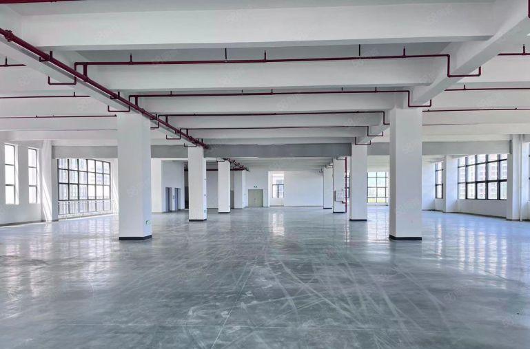 精装修！8.8元惠阳淡水数字产业园标准厂房26888平出租