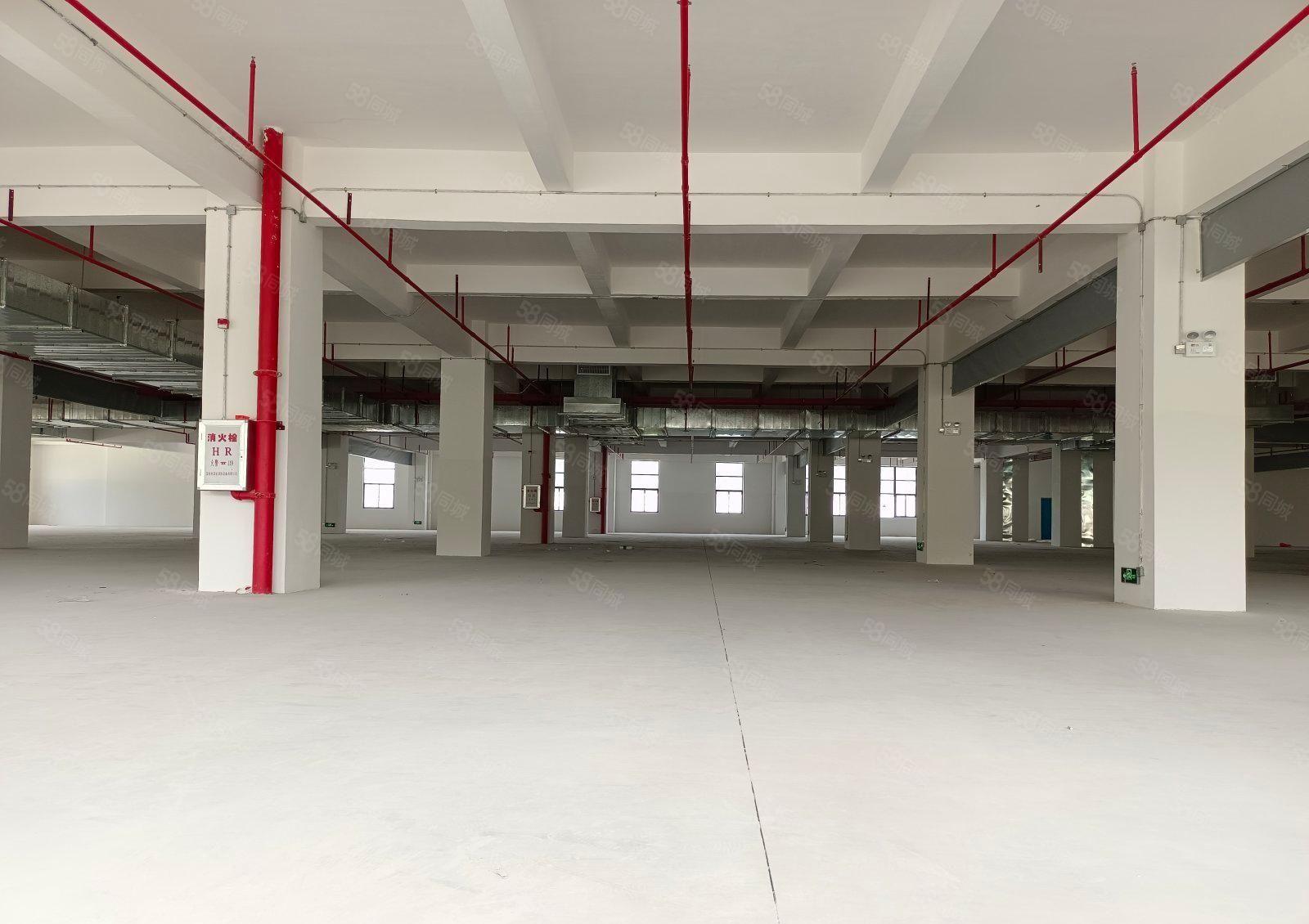 急租5吨货梯 惠阳秋长维布6000平米厂房出租大小分租带红本