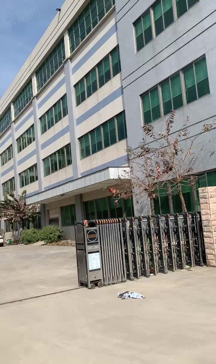 新圩约场花园式独院厂房3800平方出租