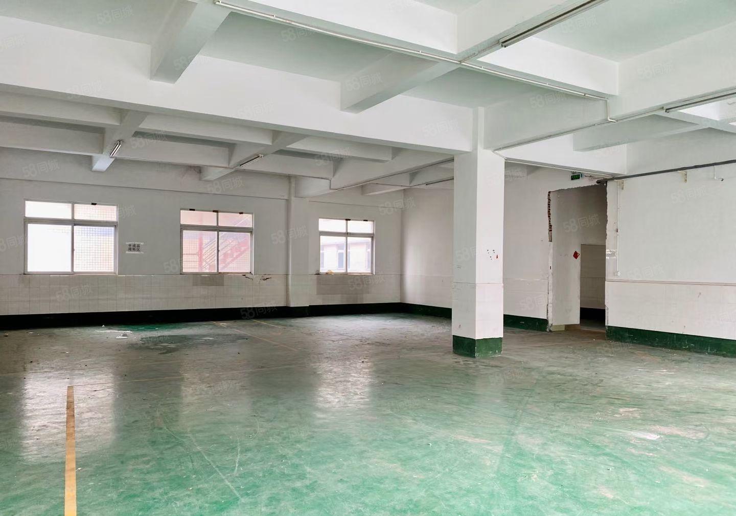 （自带塑胶喷油环评）惠阳镇隆205国道边红本独院10000平