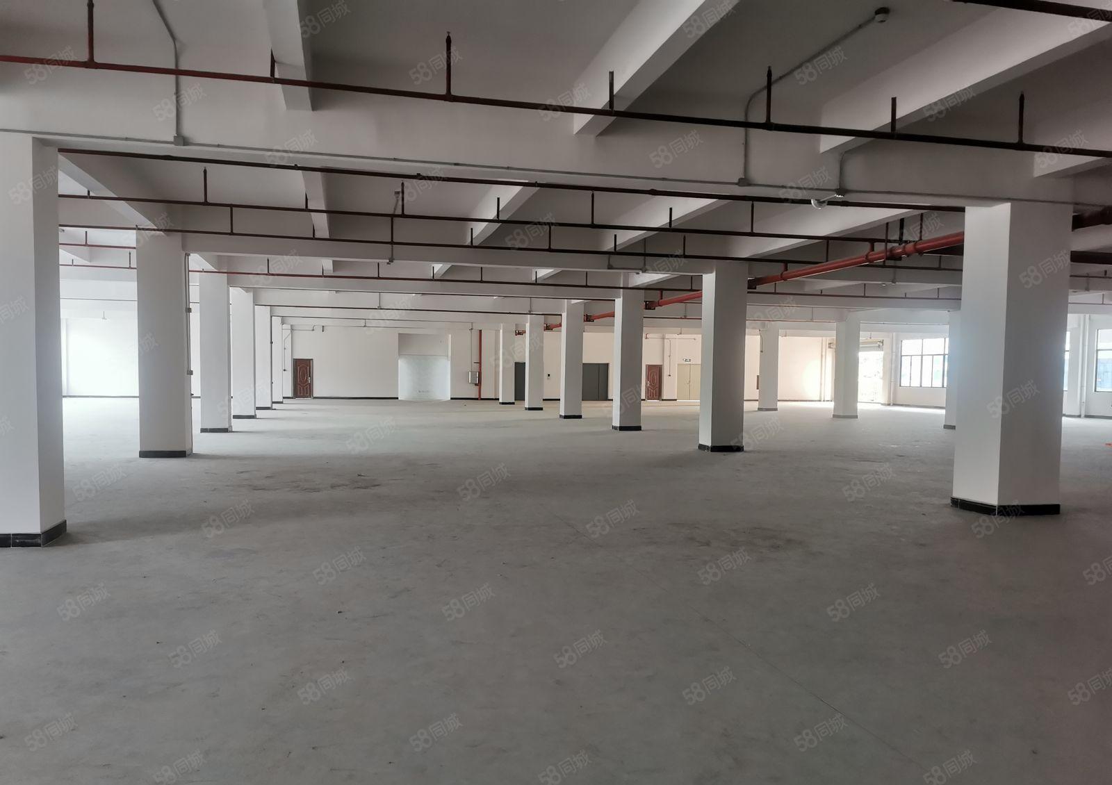 惠阳镇隆8000平方成熟现代化工业园厂房招租大小可分