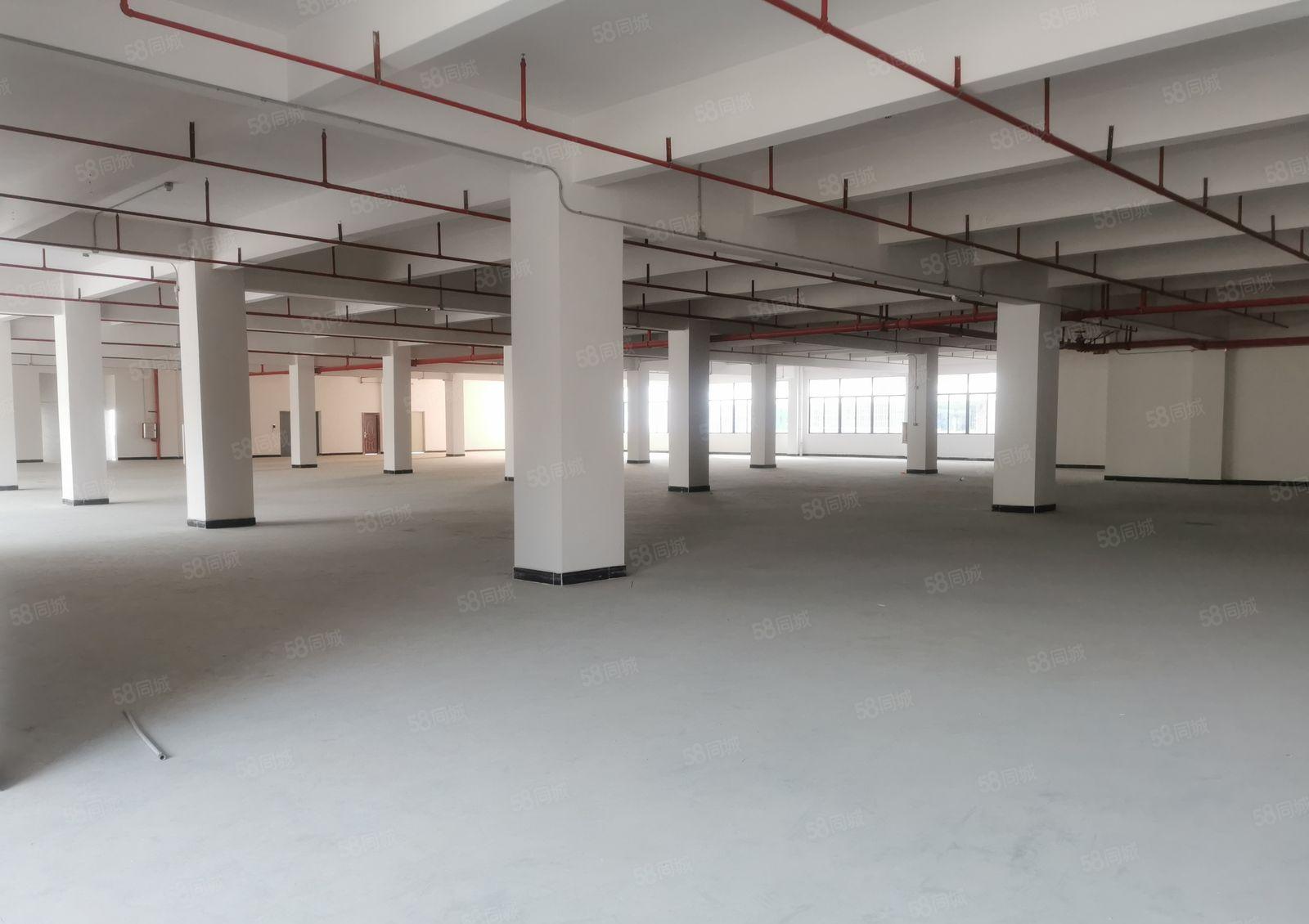 惠阳镇隆8000平方成熟现代化工业园厂房招租大小可分