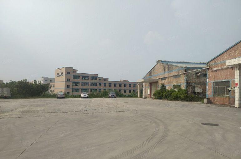惠州惠阳白花独门独院钢构1000平厂房低价出租空地4000平