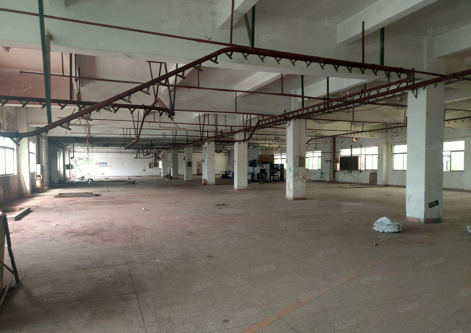 惠阳区三和经济开发区新出标准厂房17930平