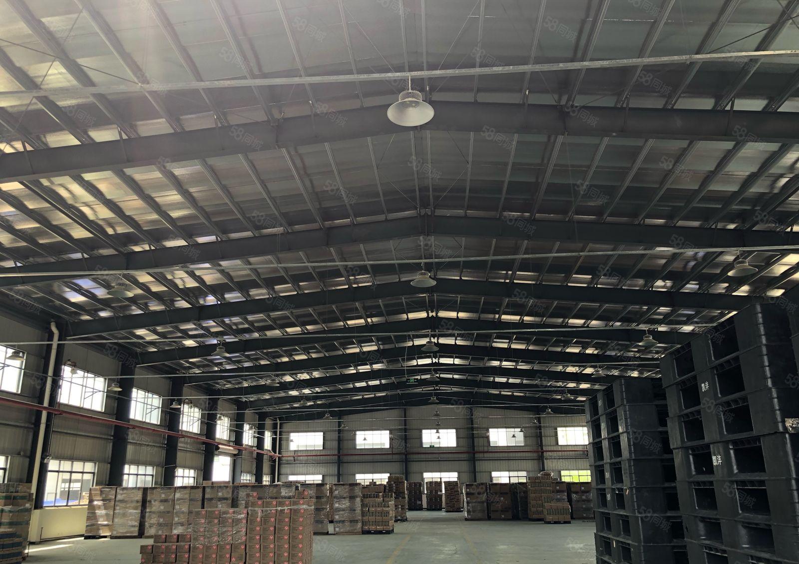 镇隆新出独门独院8000平米钢构厂房，滴水10米。