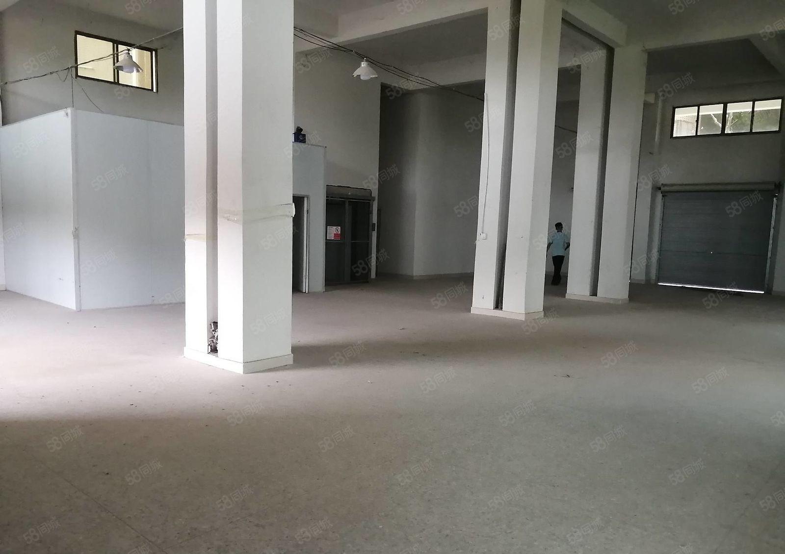 惠阳白石新出原房东标准厂房一楼300平实际面积