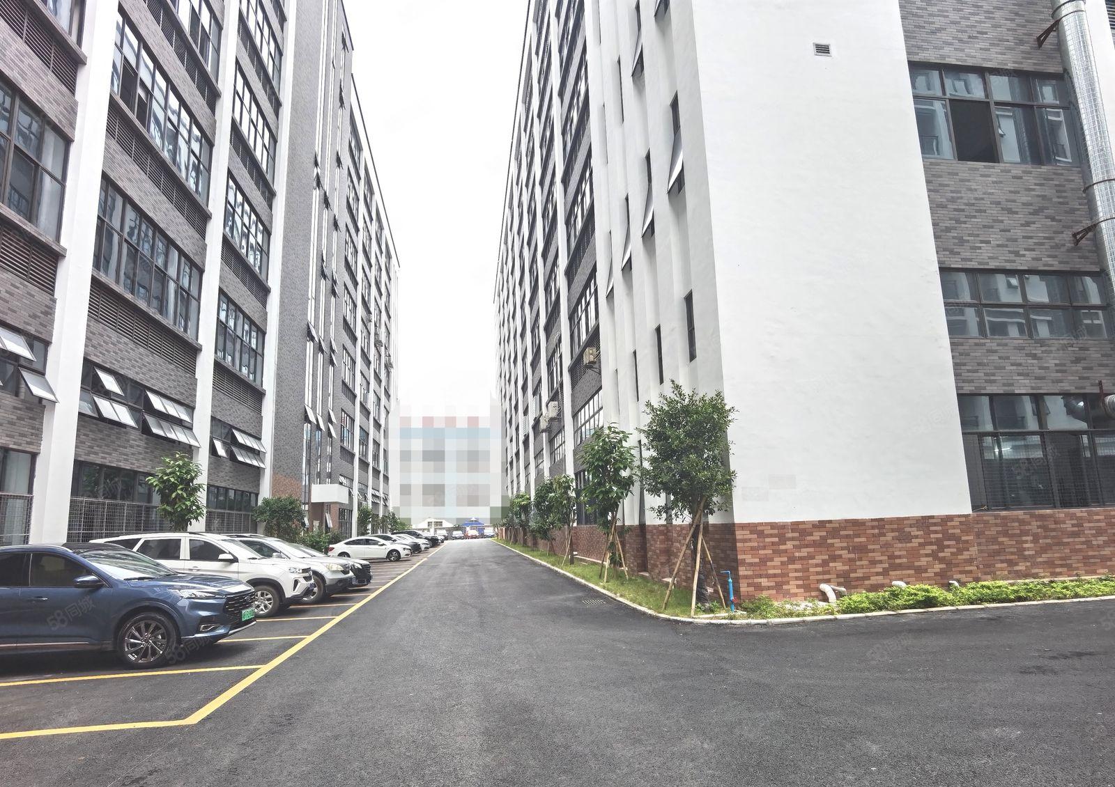 12元起惠州镇隆原房东26000标准厂房出租可以分租环境好