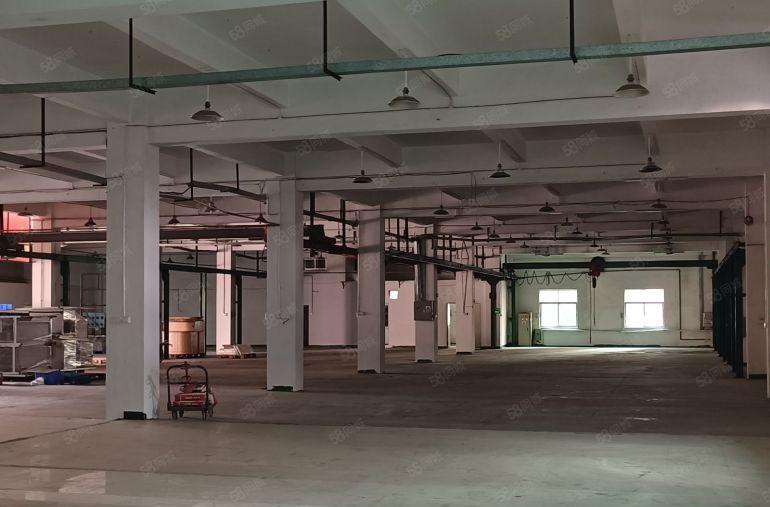 （自带2部行车）惠阳镇隆205国道边新出红本一楼1900平方