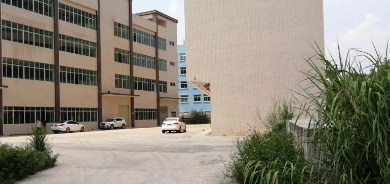 新圩新出原房东实际面积出租6500平米可以分租带消防喷淋