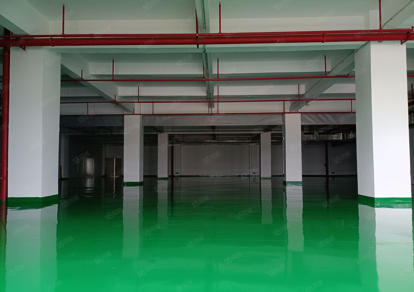 淡水街道全新3000标准无尘车间出租，独立园区变压器电按需